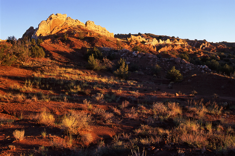 Ambush Rock Sandstone #1